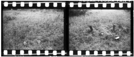 1960s anthropological photos