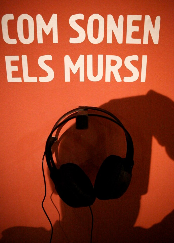 A L'ombra del Ragai (3) - Valencia 2014